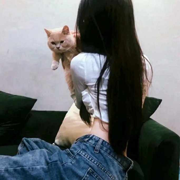 红灯梦